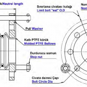 МОДЕЛЬ NST-PTFEK